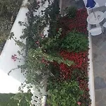 Appartamento Mata's Tínos