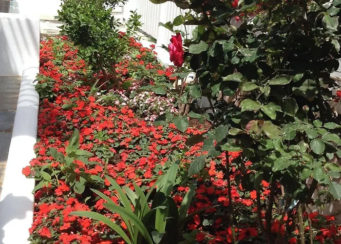 Apartment Mata's Tinos