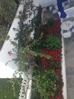 Apartment Mata's Tinos